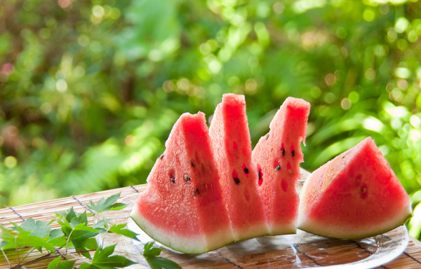 § 夏季休業のお知らせ §